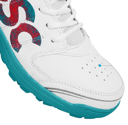 DSC BEAMER X CRICKET GRIPPERS SHOES